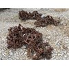 Unknown 28Lx26 Ring Chains Tire Chains and Tracks